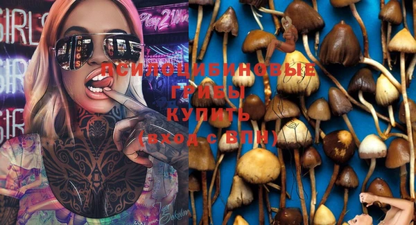 ПСИЛОЦИБИНОВЫЕ ГРИБЫ Балахна